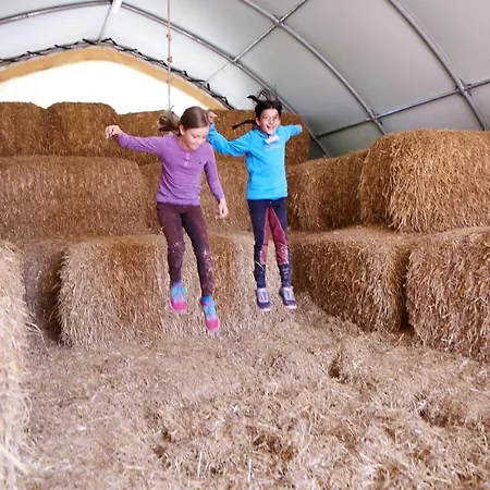 Luxuswellnesshaus Bootshus Dom wakacyjny Bliesdorf