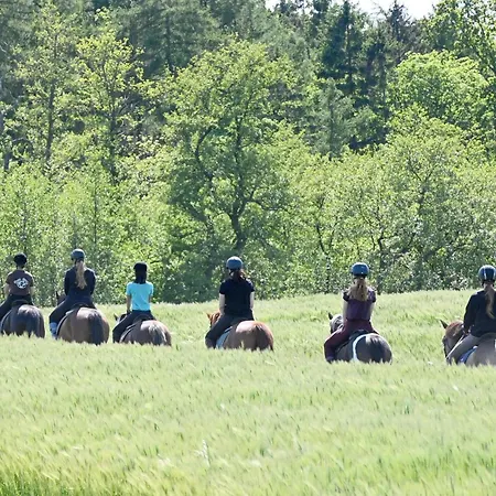 Luxuswellnesshaus Bootshus * Bliesdorf